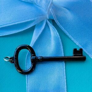 🗝️Retired Tiffany & Co. Titanium Key Charm🗝️